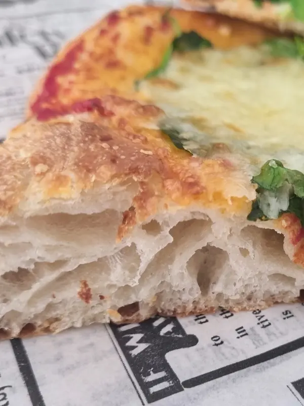 Imagen PIZZA ALTA HIDRATACIÓN con 30 Horas de FERMENTACIÓN